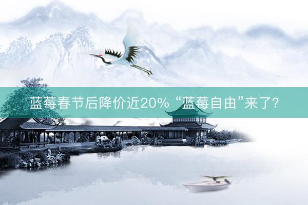 蓝莓春节后降价近20% “蓝莓自由”来了？