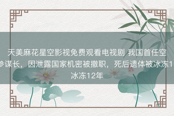 天美麻花星空影视免费观看电视剧 我国首任空军参谋长，因泄露国家机密被撤职，死后遗体被冰冻12年