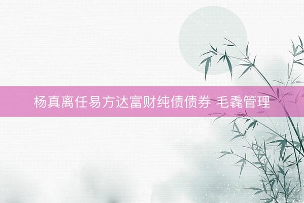 杨真离任易方达富财纯债债券 毛毳管理