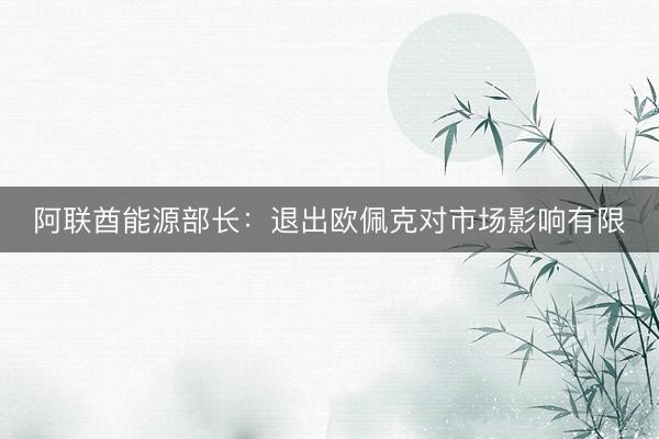阿联酋能源部长：退出欧佩克对市场影响有限