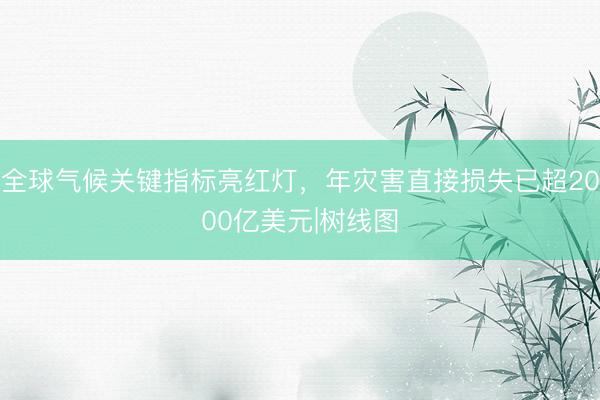 全球气候关键指标亮红灯，年灾害直接损失已超2000亿美元|树线图