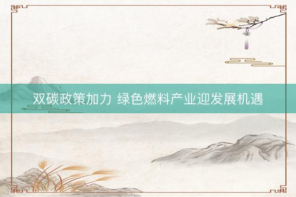 双碳政策加力 绿色燃料产业迎发展机遇