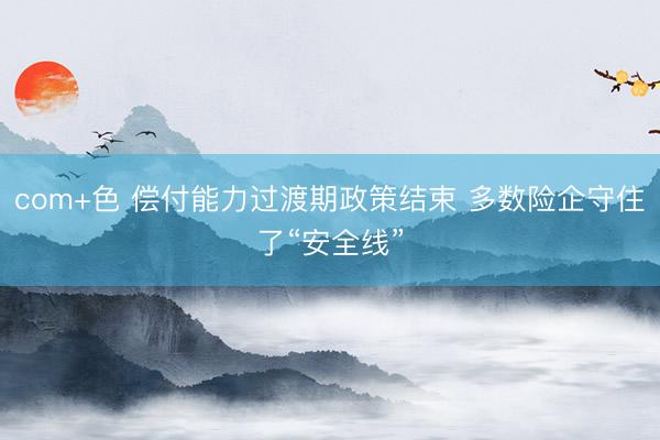 com+色 偿付能力过渡期政策结束 多数险企守住了“安全线”