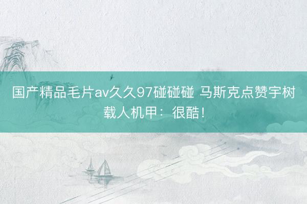 国产精品毛片av久久97碰碰碰 马斯克点赞宇树载人机甲：很酷！