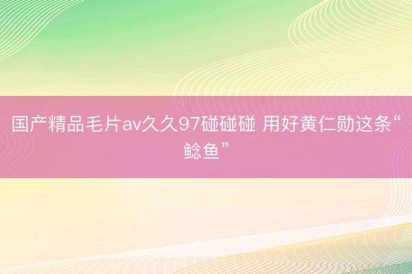 国产精品毛片av久久97碰碰碰 用好黄仁勋这条“鲶鱼”