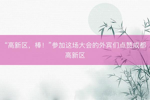 “高新区,棒!”参加这场大会的外宾们点赞成都高新区