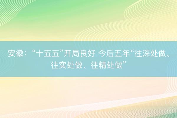 安徽:“十五五”开局良好 今后五年“往深处做、往实处做、往精处做”