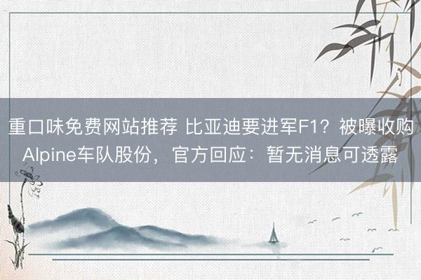 重口味免费网站推荐 比亚迪要进军F1？被曝收购Alpine车队股份，官方回应：暂无消息可透露