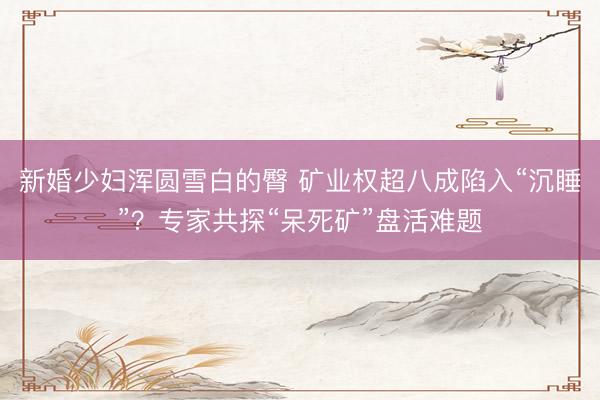新婚少妇浑圆雪白的臀 矿业权超八成陷入“沉睡”？专家共探“呆死矿”盘活难题