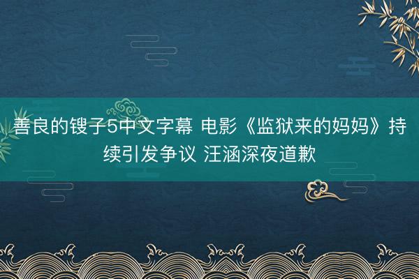 善良的锼子5中文字幕 电影《监狱来的妈妈》持续引发争议 汪涵深夜道歉