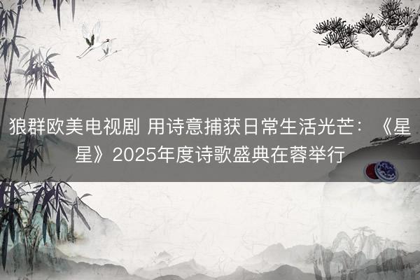 狼群欧美电视剧 用诗意捕获日常生活光芒:《星星》2025年度诗歌盛典在蓉举行