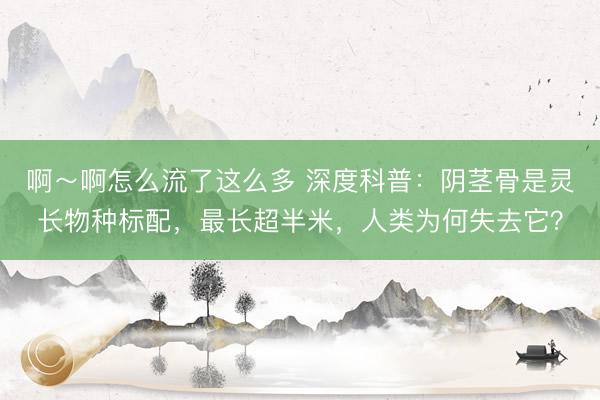 啊～啊怎么流了这么多 深度科普：阴茎骨是灵长物种标配，最长超半米，人类为何失去它？