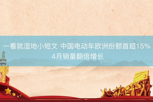 一看就湿地小短文 中国电动车欧洲份额首超15% 4月销量翻倍增长