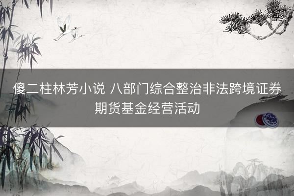傻二柱林芳小说 八部门综合整治非法跨境证券期货基金经营活动