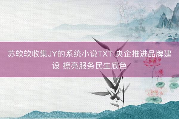 苏软软收集JY的系统小说TXT 央企推进品牌建设 擦亮服务民生底色