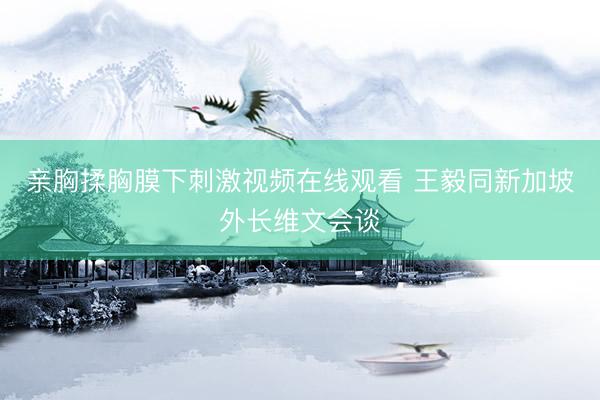 亲胸揉胸膜下刺激视频在线观看 王毅同新加坡外长维文会谈