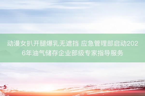 动漫女扒开腿爆乳无遮挡 应急管理部启动2026年油气储存企业部级专家指导服务