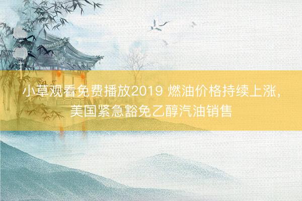 小草观看免费播放2019 燃油价格持续上涨，美国紧急豁免乙醇汽油销售