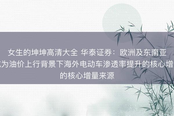 女生的坤坤高清大全 华泰证券：欧洲及东南亚有望成为油价上行背景下海外电动车渗透率提升的核心增量来源