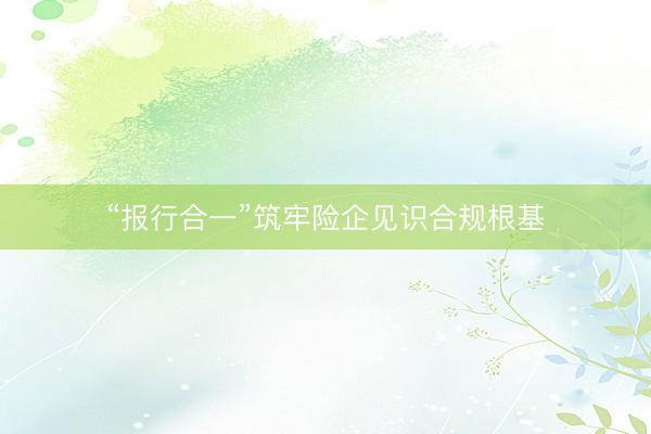 “报行合一”筑牢险企见识合规根基