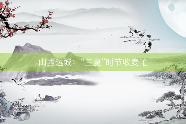 山西运城：“三夏”时节收麦忙
