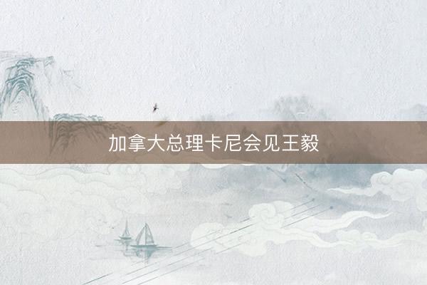 加拿大总理卡尼会见王毅