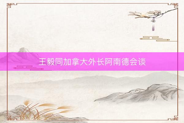 王毅同加拿大外长阿南德会谈