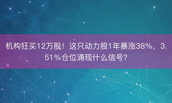 机构狂买12万股！这只动力股1年暴涨38%，3.51%仓位涌现什么信号？