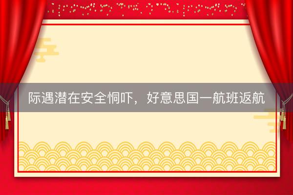 际遇潜在安全恫吓，好意思国一航班返航