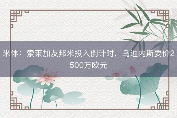 米体：索莱加友邦米投入倒计时，乌迪内斯要价2500万欧元
