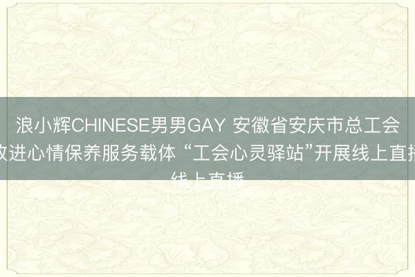 浪小辉CHINESE男男GAY 安徽省安庆市总工会改进心情保养服务载体 “工会心灵驿站”开展线上直播