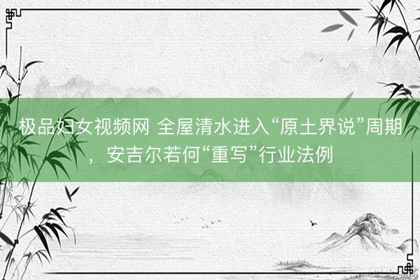 极品妇女视频网 全屋清水进入“原土界说”周期，安吉尔若何“重写”行业法例