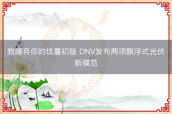 我唾弃你的坟墓初版 DNV发布两项飘浮式光伏新模范