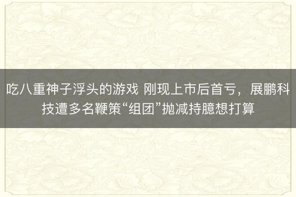 吃八重神子浮头的游戏 刚现上市后首亏，展鹏科技遭多名鞭策“组团”抛减持臆想打算