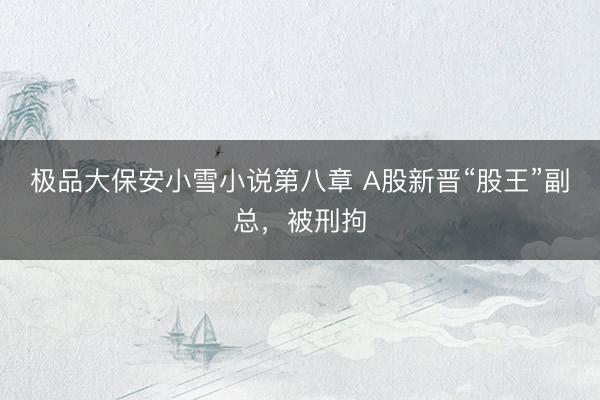极品大保安小雪小说第八章 A股新晋“股王”副总，被刑拘