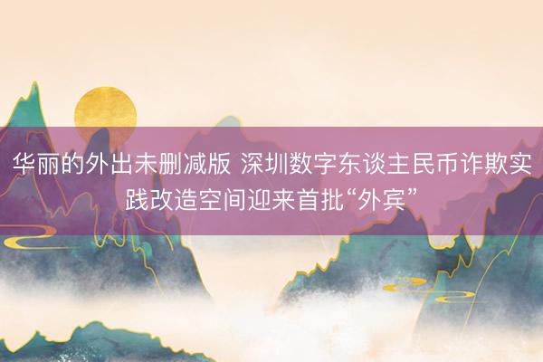 华丽的外出未删减版 深圳数字东谈主民币诈欺实践改造空间迎来首批“外宾”