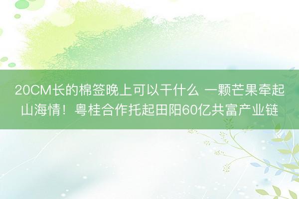 20CM长的棉签晚上可以干什么 一颗芒果牵起山海情！粤桂合作托起田阳60亿共富产业链