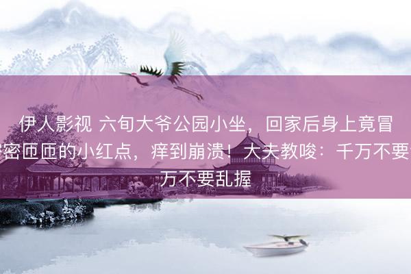 伊人影视 六旬大爷公园小坐，回家后身上竟冒出密密匝匝的小红点，痒到崩溃！大夫教唆：千万不要乱握