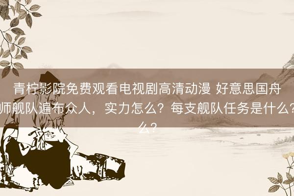 青柠影院免费观看电视剧高清动漫 好意思国舟师舰队遍布众人，实力怎么？每支舰队任务是什么？