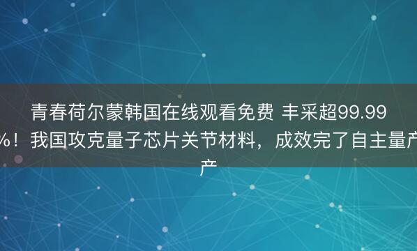 青春荷尔蒙韩国在线观看免费 丰采超99.99%！我国攻克量子芯片关节材料，成效完了自主量产