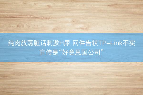 纯肉放荡脏话刺激H尿 网件告状TP-Link不实宣传是“好意思国公司”