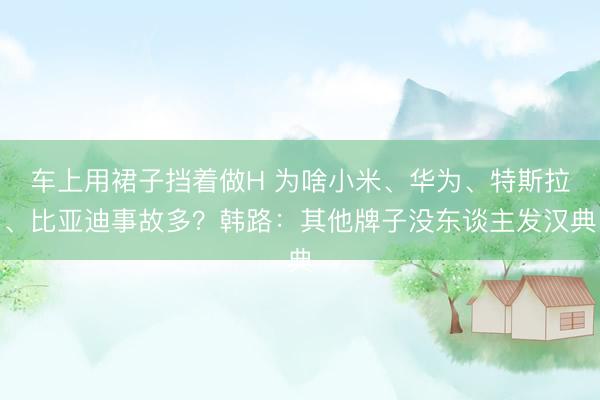 车上用裙子挡着做H 为啥小米、华为、特斯拉、比亚迪事故多？韩路：其他牌子没东谈主发汉典
