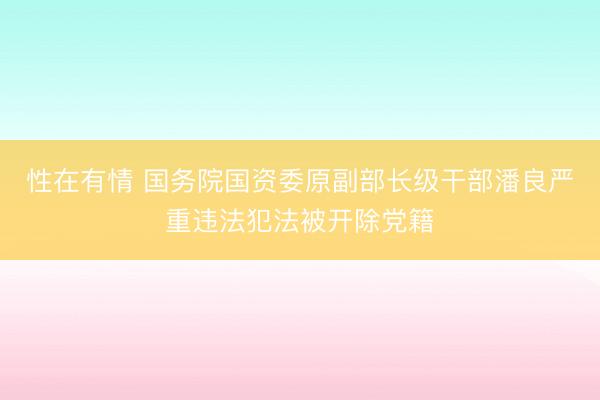 性在有情 国务院国资委原副部长级干部潘良严重违法犯法被开除党籍