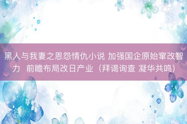 黑人与我妻之恩怨情仇小说 加强国企原始窜改智力  前瞻布局改日产业（拜谒询查 凝华共鸣）