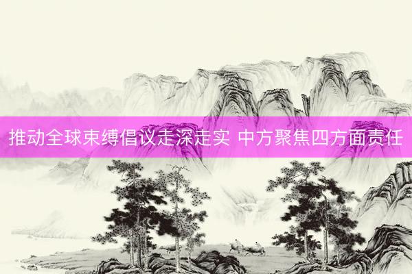 推动全球束缚倡议走深走实 中方聚焦四方面责任