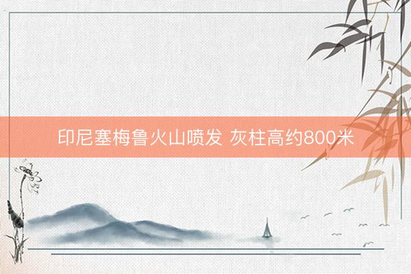 印尼塞梅鲁火山喷发 灰柱高约800米