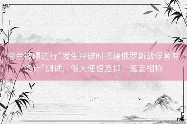荷兰被曝进行“发生冲破时搭建俄罗斯战俘营有诡计”测试，俄大使馆贬抑：诞妄相称