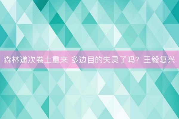 森林递次卷土重来 多边目的失灵了吗？王毅复兴