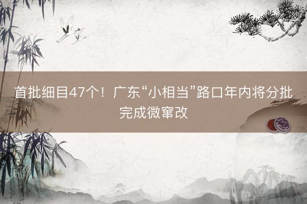 首批细目47个!广东“小相当”路口年内将分批完成微窜改