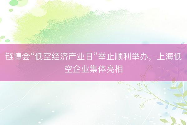 链博会“低空经济产业日”举止顺利举办，上海低空企业集体亮相